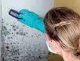 Sposoby likwidacji plam, zacieków i pleśni